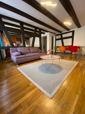 Appartement spacieux - cœur historique de la ville